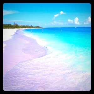 Meet your Posher, Maya